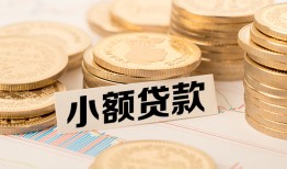 成都24空放-成都24个人短借-成都24身份证小额贷款